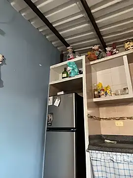 Snapshot of liahouses chatting on November 14, 10:07 pm liahouses online show from November 14, 10:07 pm