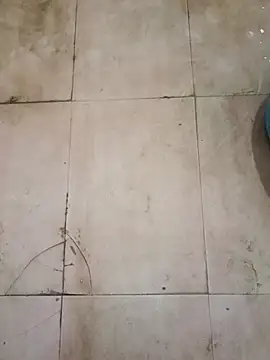 Snapshot of TeluguCuplehyd chatting on September 20, 11:17 pm TeluguCuplehyd online show from September 20, 11:17 pm