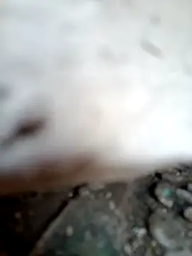 Snapshot of miss_riya_kol chatting on October 9, 6:44 am miss riya kol online show from October 9, 6:44 am