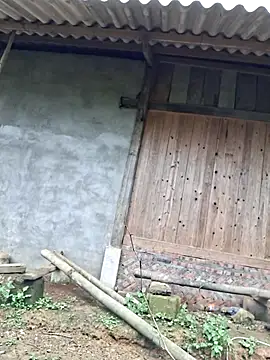 Snapshot of xuxulovezz chatting on November 9, 6:55 am xuxulovezz online show from November 9, 6:55 am