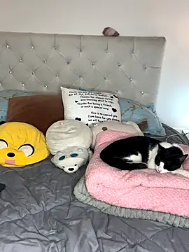 sunnymoonn 1 online show from October 2, 8:05 pm