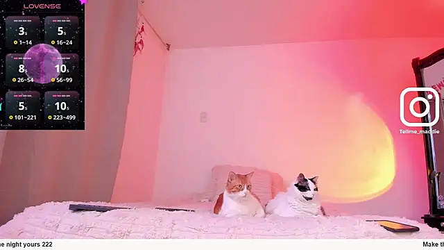 tellmemaddie online show from November 1, 8:11 pm