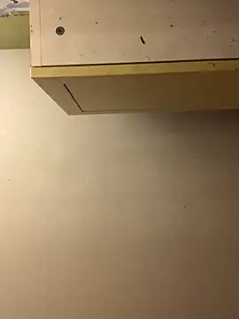 Snapshot of chtentation chatting on December 15, 4:50 am chtentation online show from December 15, 4:50 am