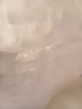 ruiiizz online show from March 9, 6:45 pm