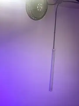 ChloeRosses online show from March 6, 11:01 pm