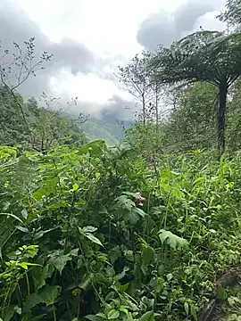 Penny39 online show from October 9, 1:36 am