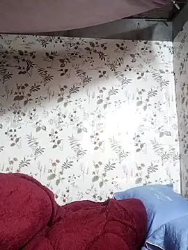 zhen-zo online show from November 23, 3:17 am