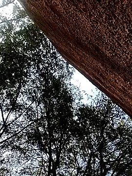 Rs sonam online show from December 15, 9:57 am