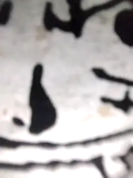 Snapshot of PEEHU-50 chatting on November 21, 12:10 am PEEHU-50 online show from November 21, 12:10 am