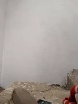 Snapshot of PEEHU-50 chatting on November 28, 3:20 am PEEHU-50 online show from November 28, 3:20 am