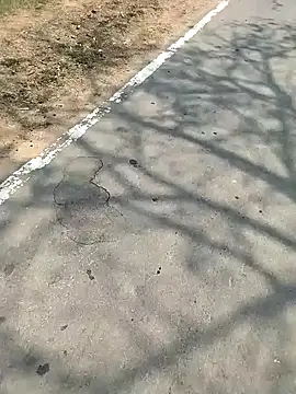 PEEHU-50 online show from March 7, 6:21 am