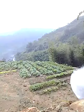 Snapshot of Bum_538 chatting on November 23, 12:21 am Bum 538 online show from November 23, 12:21 am