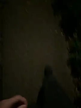 ncjuice  online show from October 31, 10:00 pm