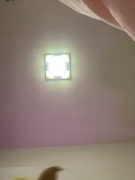 taotaobo online show from December 15, 2:21 pm