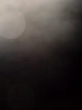 Payarkanasa online show from November 28, 9:45 am