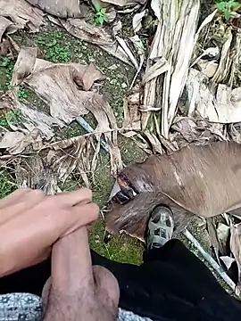 Snapshot of Sikici0734 chatting on November 13, 9:19 am Sikici0734 online show from November 13, 9:19 am