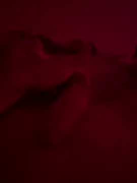 nieonixpeek19 online show from February 2, 9:13 pm