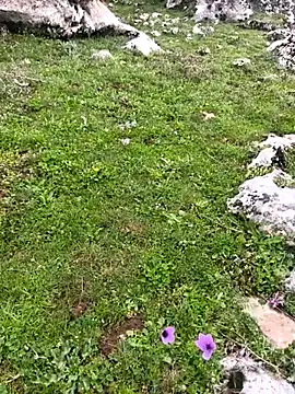 Sert erkek21 ysm online show from March 23, 10:19 am