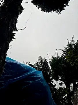 Snapshot of miomio-12 chatting on November 2, 1:35 pm miomio-12 online show from November 2, 1:35 pm