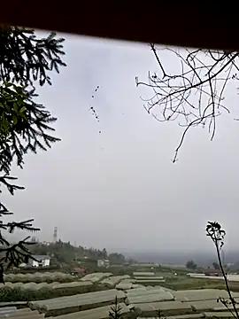 Snapshot of miomio-12 chatting on November 7, 1:38 am miomio-12 online show from November 7, 1:38 am