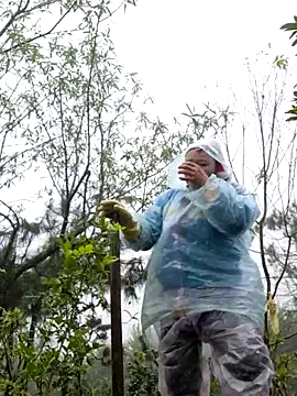 Snapshot of miomio-12 chatting on November 18, 2:28 am miomio-12 online show from November 18, 2:28 am