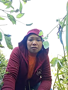 Snapshot of miomio-12 chatting on November 29, 3:09 am miomio-12 online show from November 29, 3:09 am