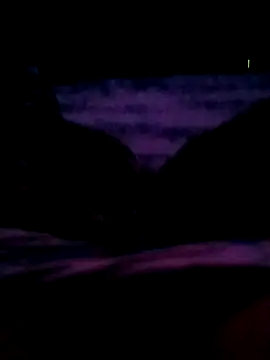 veintitres23 online show from November 11, 7:52 am