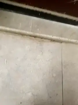 Snapshot of pn12345 chatting on December 5, 4:10 am pn12345 online show from December 5, 4:10 am