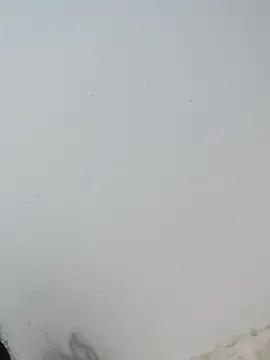 Snapshot of _Bella_Beth_ chatting on December 2, 12:49 am Bella Beth online show from December 2, 12:49 am