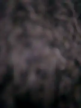 Ripe me online show from November 10, 10:14 am