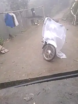 Ripe me online show from November 12, 12:11 am