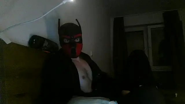 Snapshot of MolleDolle chatting on December 3, 10:52 pm MolleDolle online show from December 3, 10:52 pm