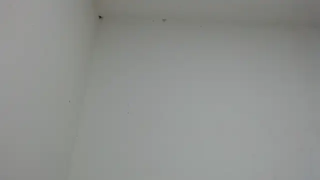 drako monster online show from January 17, 10:46 pm