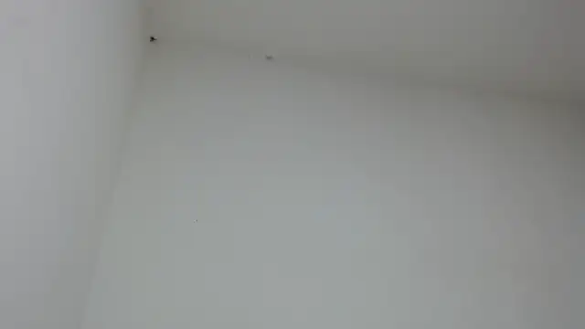 drako monster online show from January 31, 9:46 pm