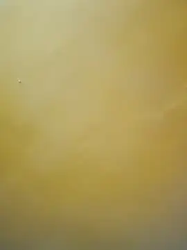 Snapshot of tamil-mala23 chatting on October 18, 11:44 am tamil-mala23 online show from October 18, 11:44 am