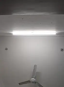 Snapshot of Anchal-8798 chatting on November 8, 6:07 pm Anchal-8798 online show from November 8, 6:07 pm