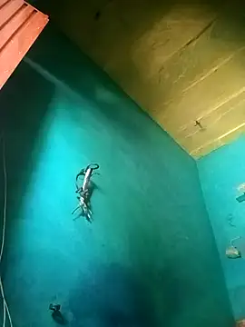 Rt shreya online show from November 21, 6:45 am