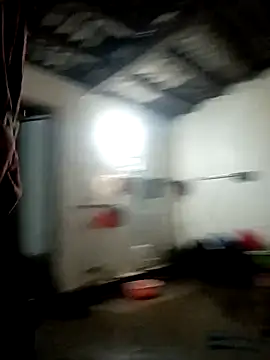 sipy- online show from November 9, 10:13 am