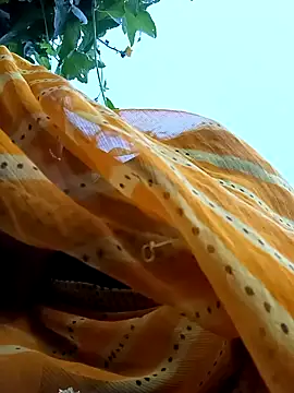 Snapshot of Cutsedi3 chatting on October 18, 11:33 am Cutsedi3 online show from October 18, 11:33 am