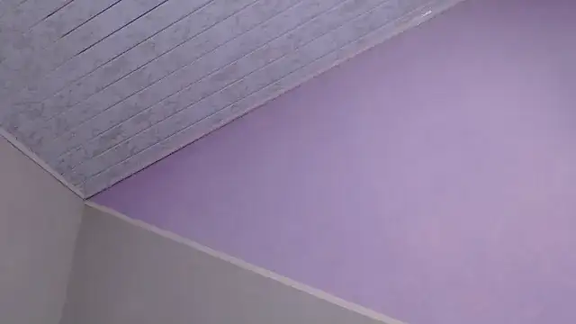 VioletGil Party  online show from December 20, 7:21 pm