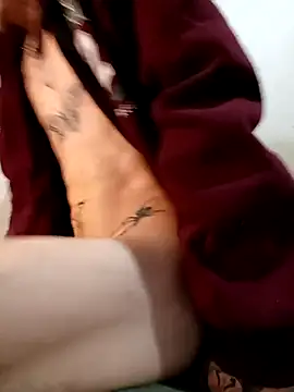 RuivoDotado24cm online show from November 14, 8:46 am