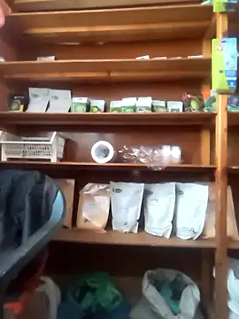 szabi1995 online show from January 10, 8:16 am