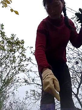 siusiu-00 online show from November 12, 9:10 am