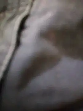 svk 05 online show from November 20, 5:45 pm