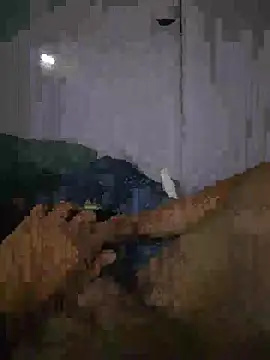 Snapshot of shainnfk chatting on March 1, 11:23 am shainnfk online show from March 1, 11:23 am