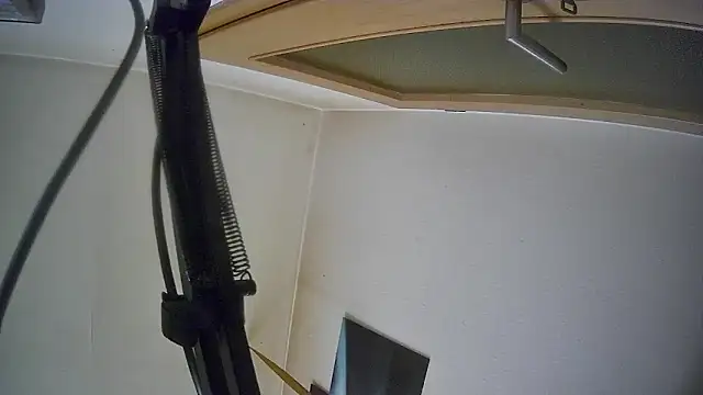 bull419M online show from October 17, 9:45 am