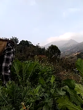 omai-ngot online show from January 19, 12:58 am