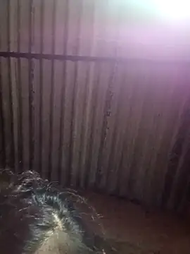 Snapshot of M-MAYA chatting on December 2, 5:41 pm M-MAYA online show from December 2, 5:41 pm