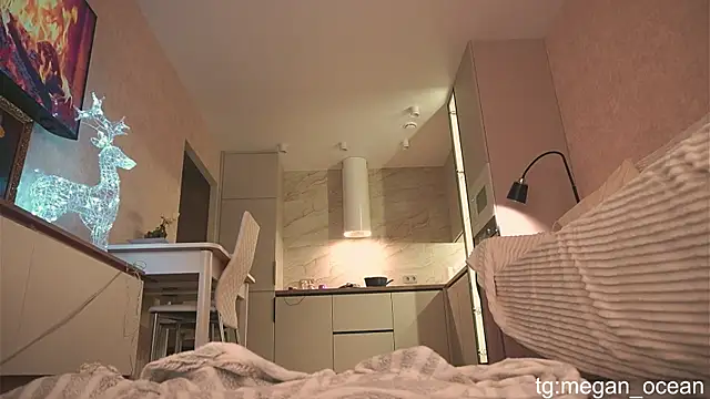 Megan galactica online show from November 30, 4:11 pm