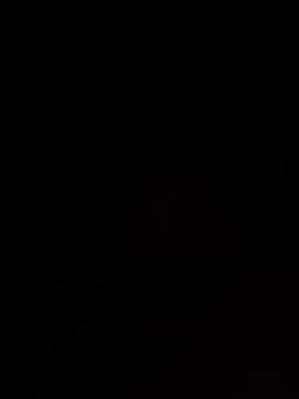 roludao fun online show from November 17, 12:55 pm